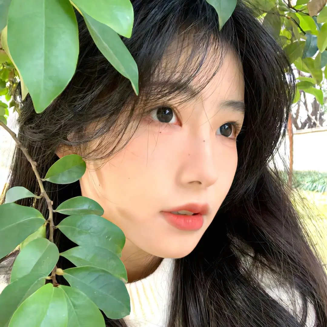 一曲倾情
